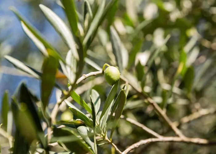 2 Bedroom Awesome In Lucija